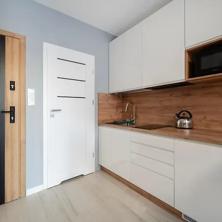 Apartment Fabryczna Deluxe Lodz (Lodz)